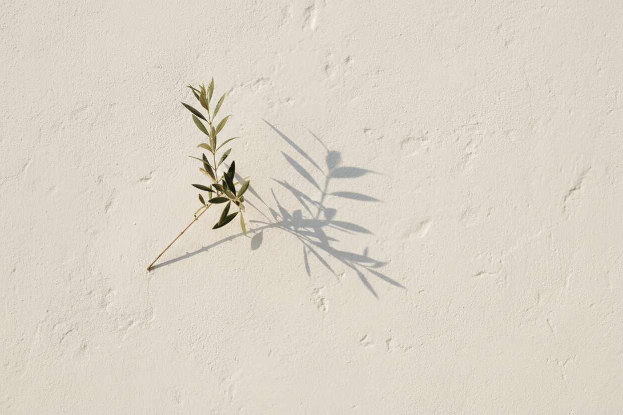 Olive branch shadows hero